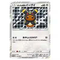 ポンチョを着たイーブイ(ブラッキー)